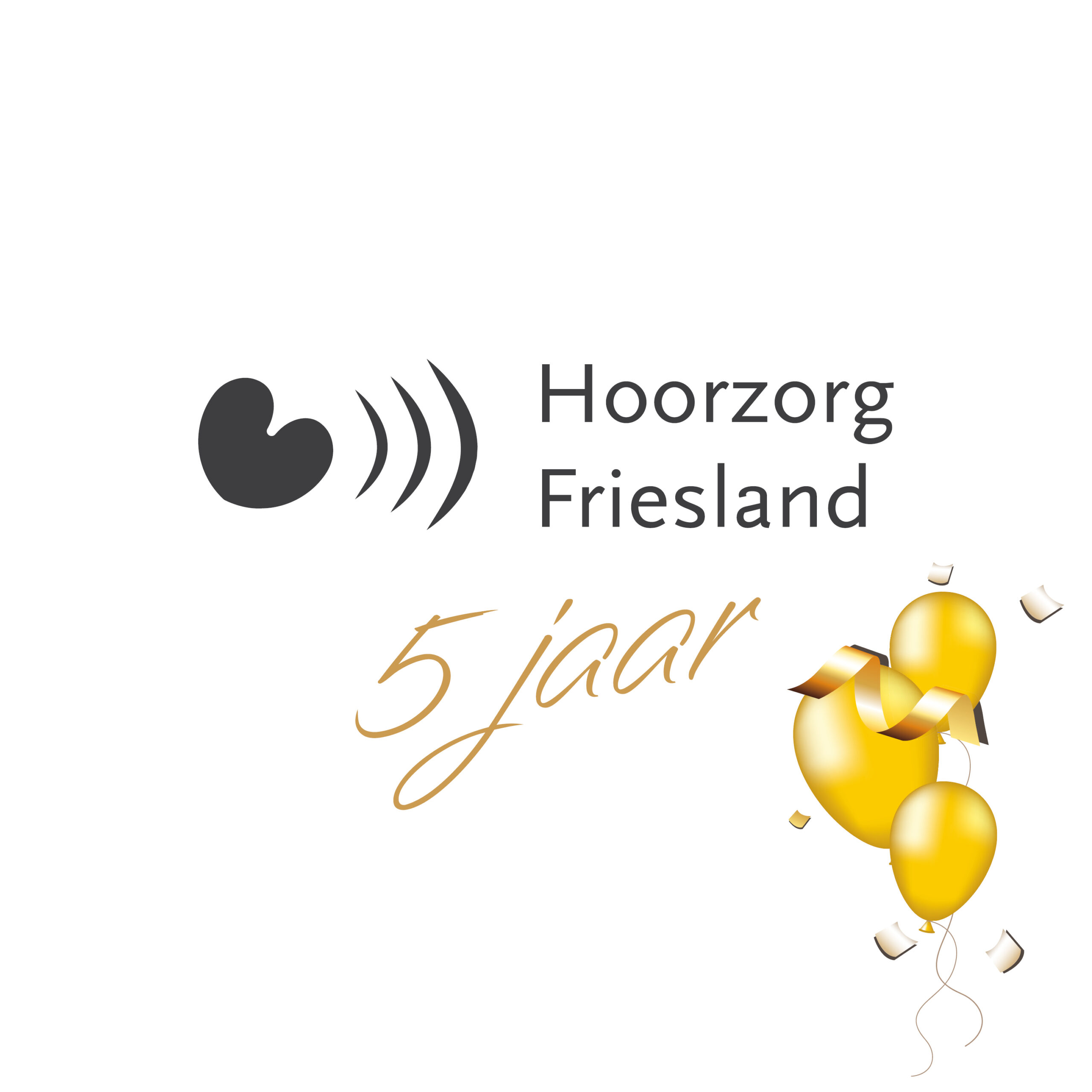 Hoorzorg Friesland 5 jaar